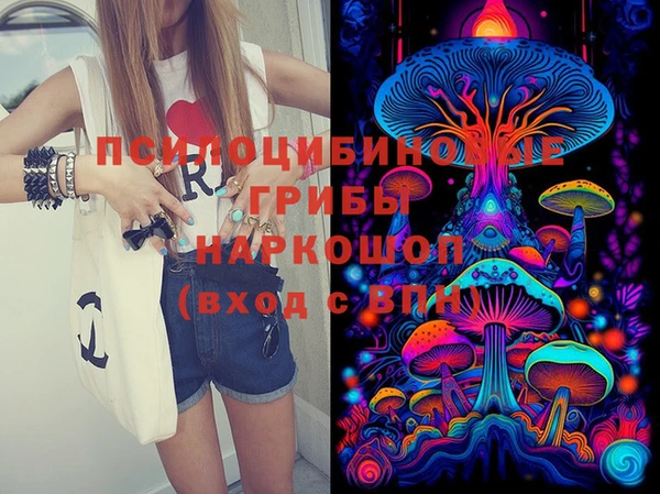 ПСИЛОЦИБИНОВЫЕ ГРИБЫ Мегион