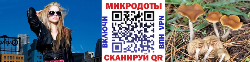 ссылка на мегу ССЫЛКА Мегион Галлюциногенные грибы GOLDEN TEACHER