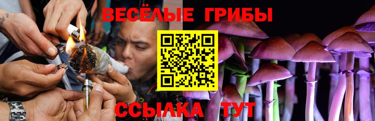 Галлюциногенные грибы прущие грибы Мегион